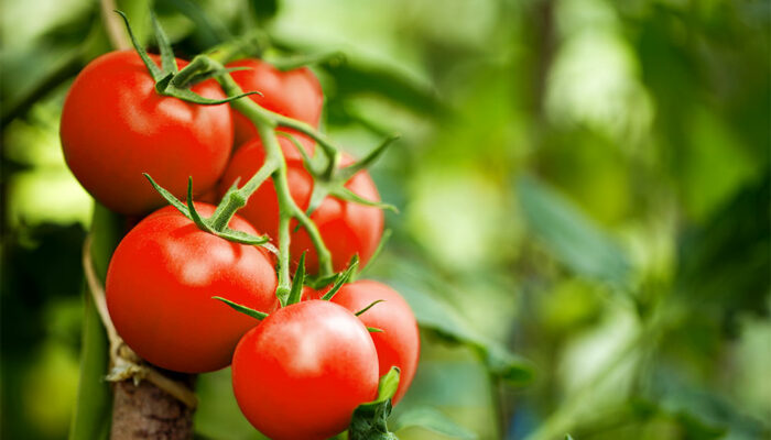8 Foods to Avoid for GERD