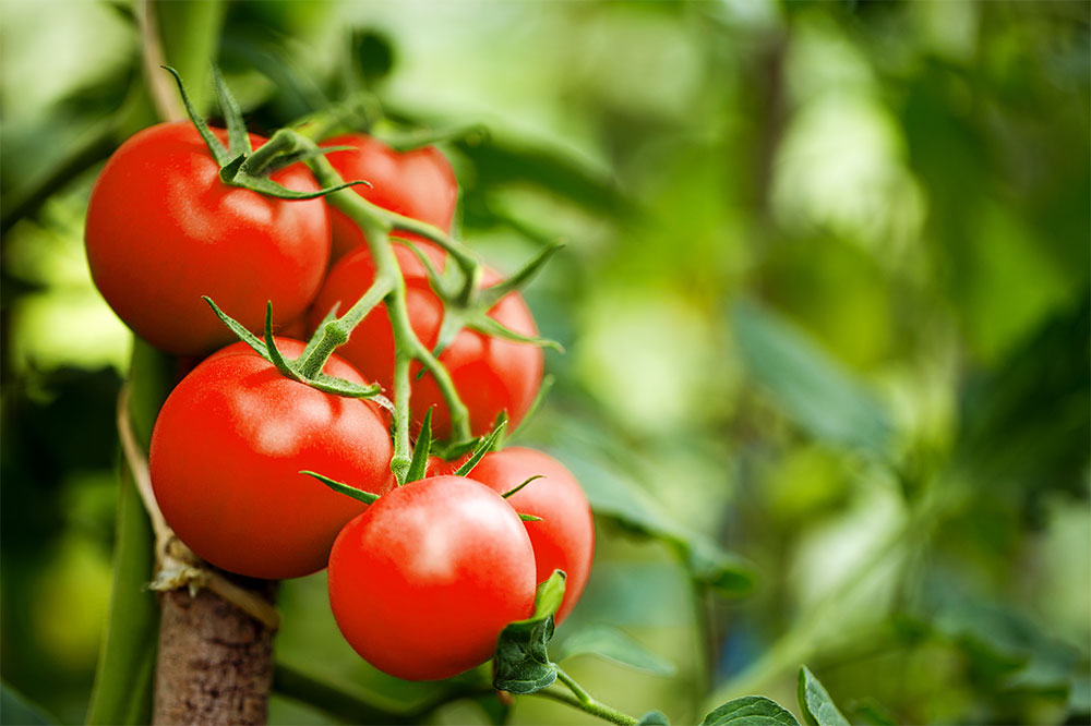 8 Foods to Avoid for GERD